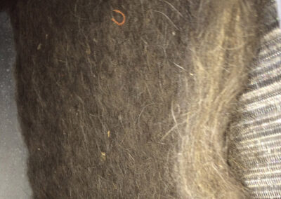 Close-up view of a heavily dust-covered HVAC coil, with thick layers of dirt and debris obscuring the metal surface.