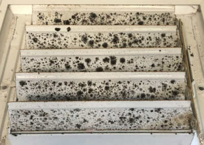 Air vent covered in black mold spots and dust buildup, showing extensive contamination on the vent slats.